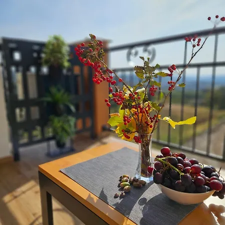 The One Fruske Appartement