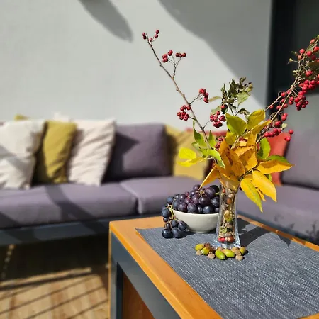 Appartement The One Fruske Vrdnik