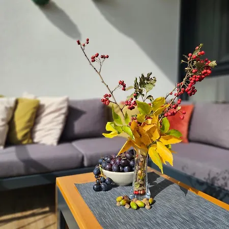 Appartement The One Fruske Vrdnik