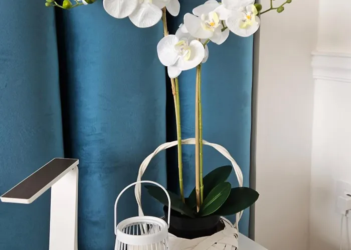 The One Fruske Apartamento